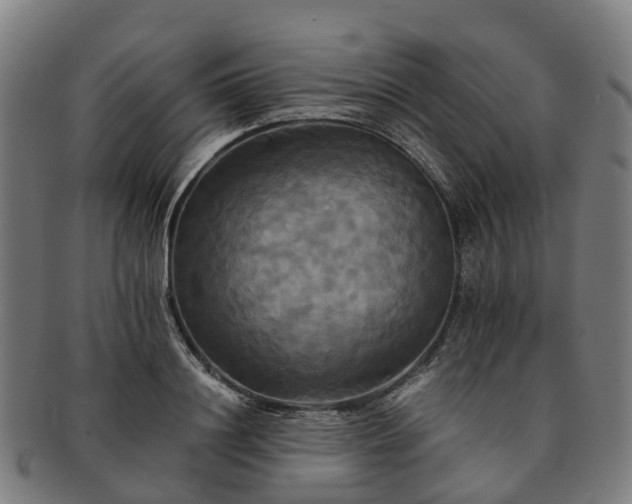 X0000091710844200708311114