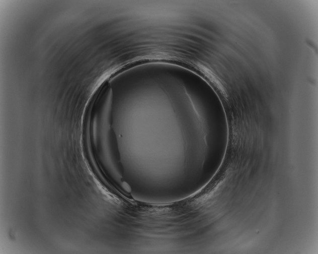 X0000091710845200708311114