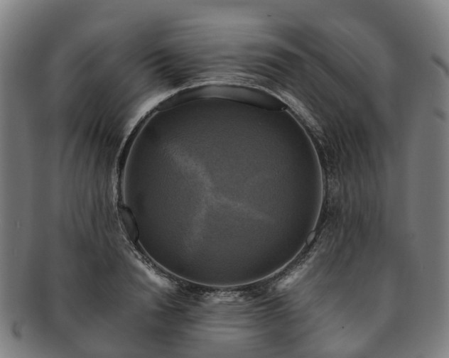 X0000091710846200708311114