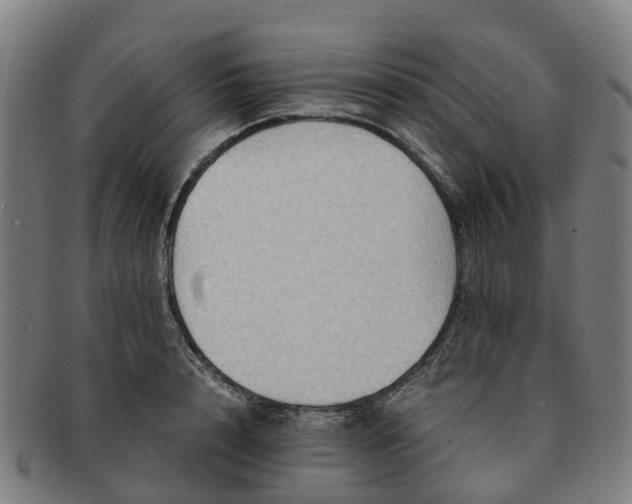 X0000091710848200708311114