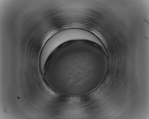 X0000091710850200708311114