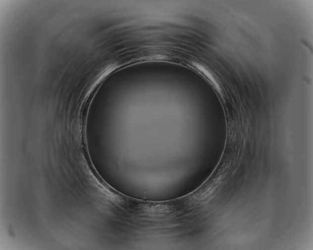 X0000091710851200708311114