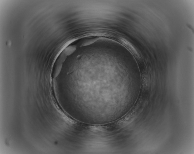 X0000091710852200708311114