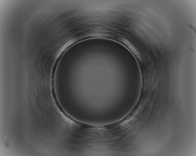 X0000091710853200708311114