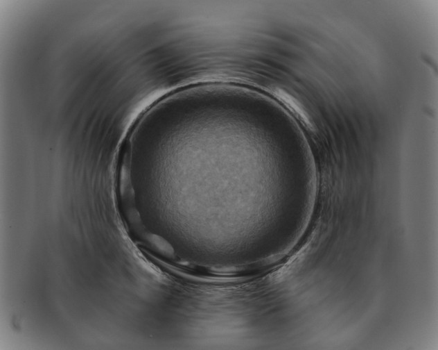 X0000091710854200708311114