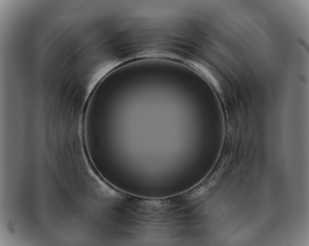 X0000091710855200708311114