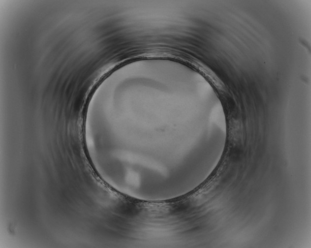 X0000091710856200708311114