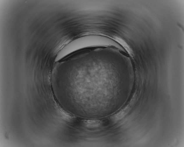 X0000091710857200708311114