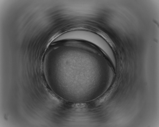 X0000091710858200708311114