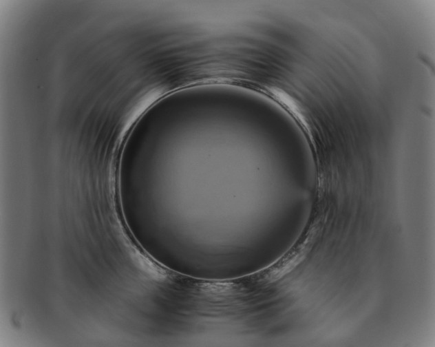 X0000091710859200708311114