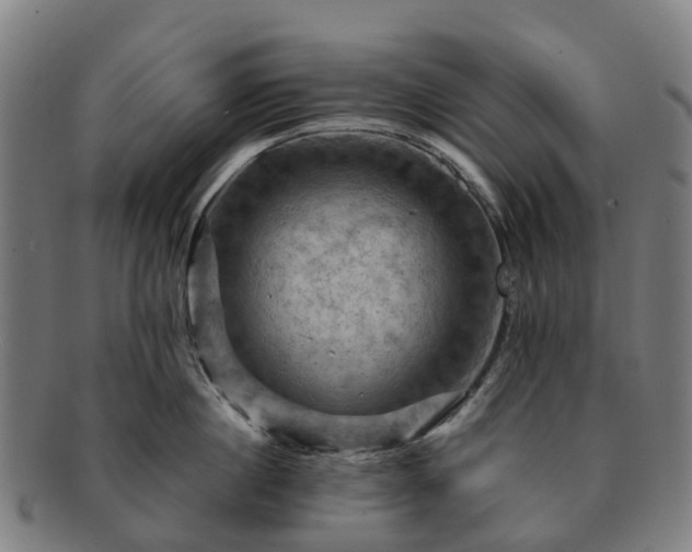 X0000091710860200708311114