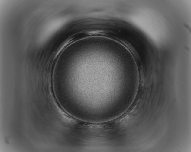 X0000091710861200708311114