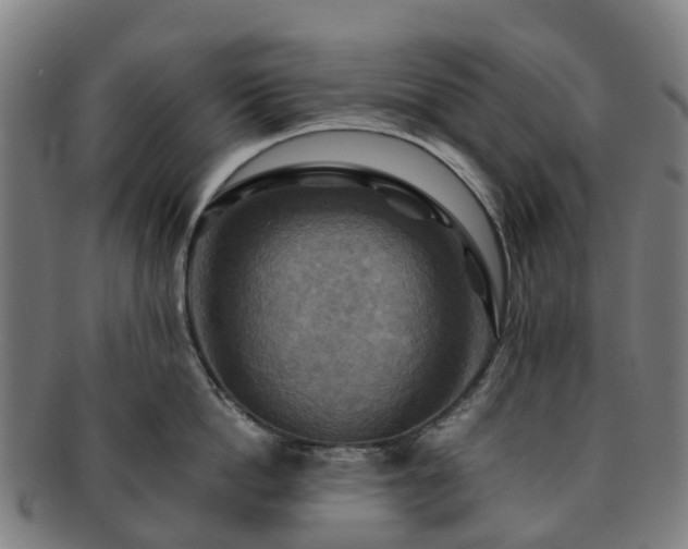 X0000091710862200708311114