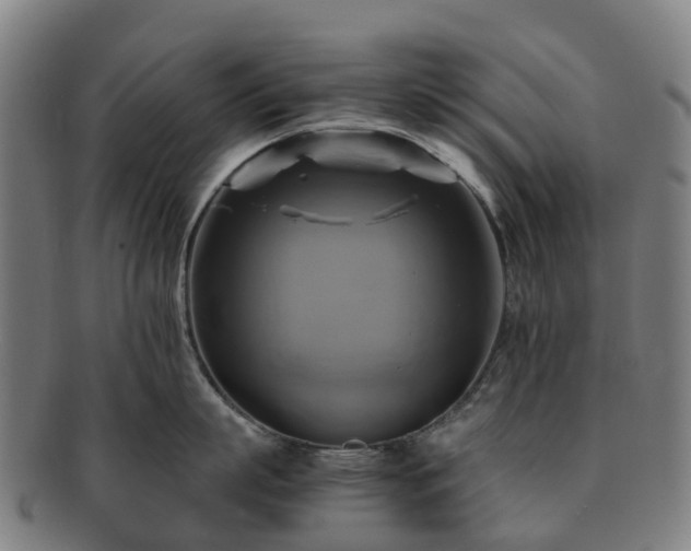 X0000091710863200708311114