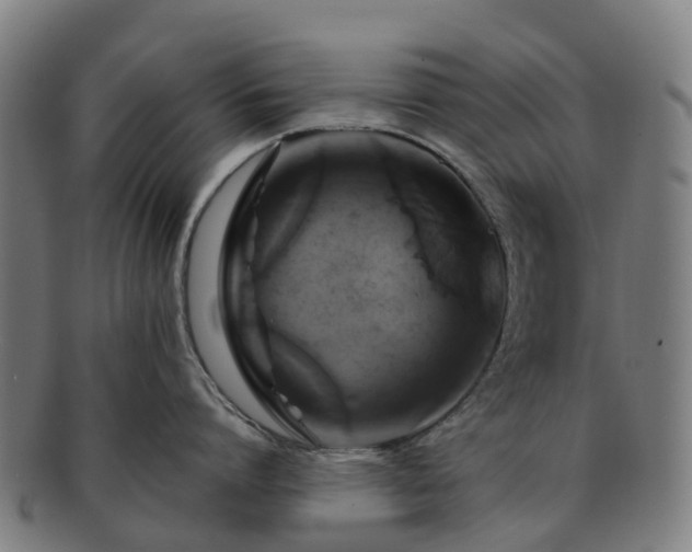 X0000091710864200708311114