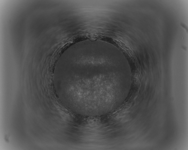 X0000091710865200708311114