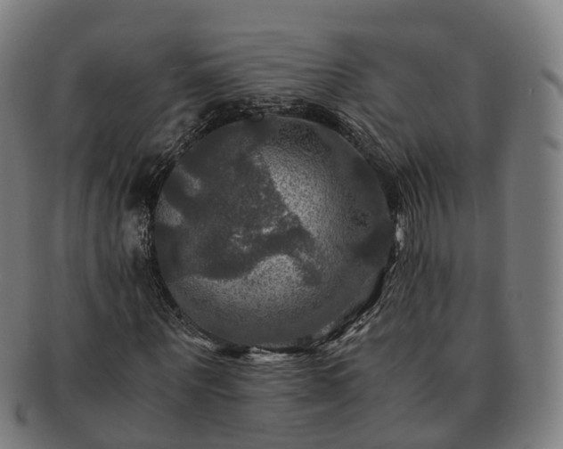 X0000091710867200708311114