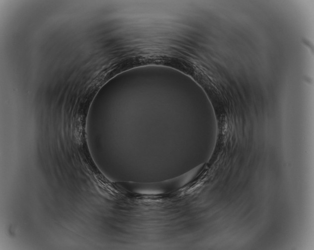 X0000091710868200708311114