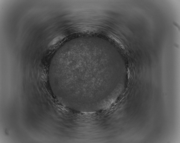 X0000091710869200708311114