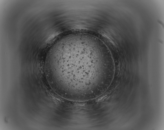 X0000091710870200708311114