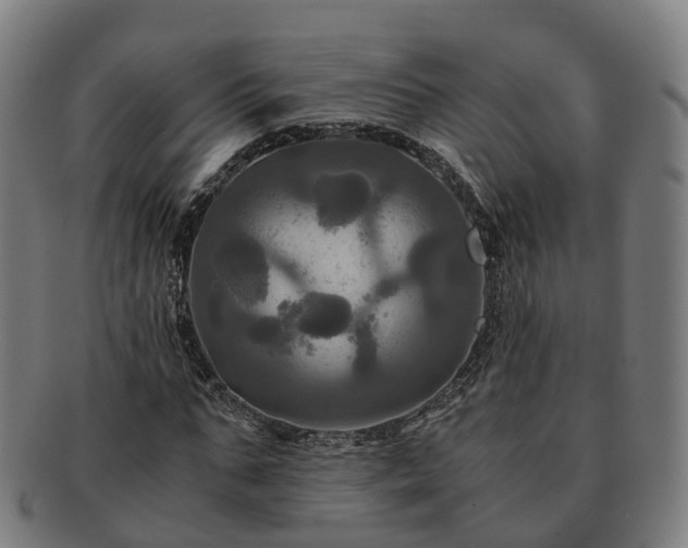 X0000091710871200708311114