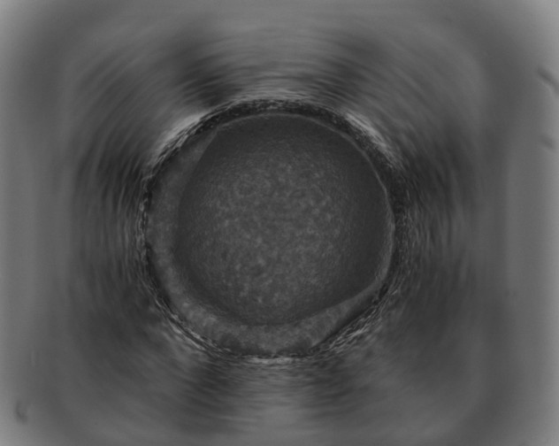 X0000091710872200708311114