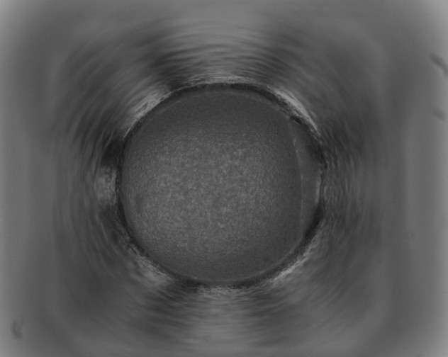 X0000091710873200708311114