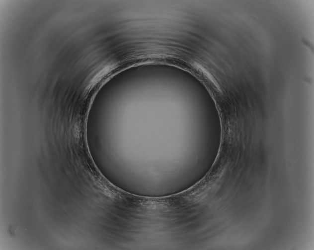 X0000091710874200708311114