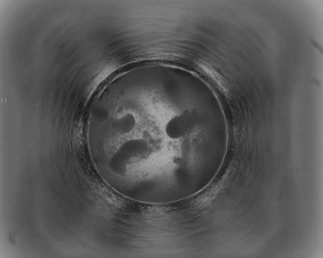 X0000091710875200708311114