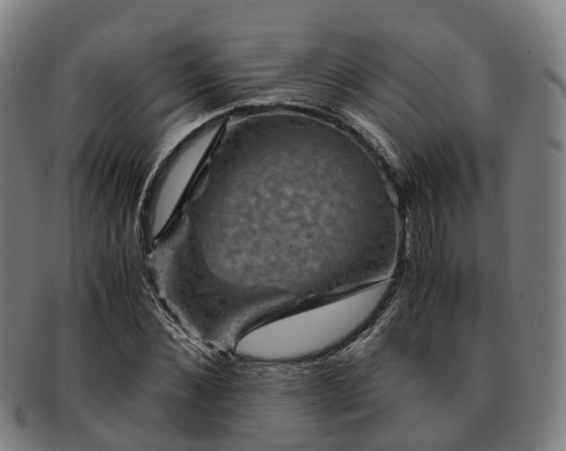 X0000091710876200708311114