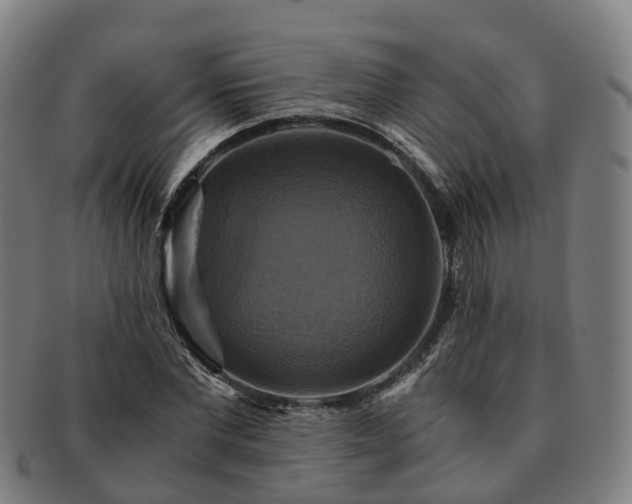 X0000091710877200708311114