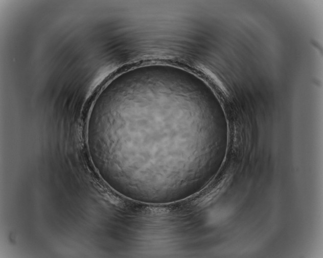 X0000091710878200708311114