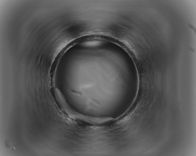 X0000091710879200708311114