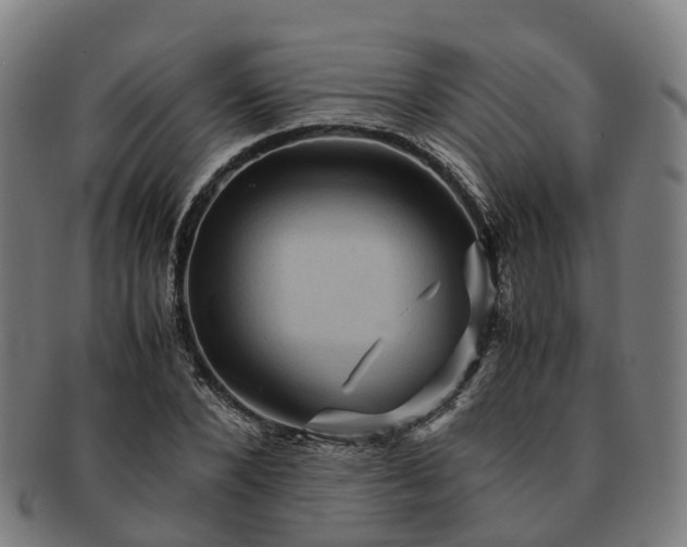 X0000091710880200708311114