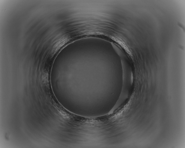 X0000091710881200708311114