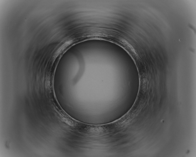 X0000091710882200708311114