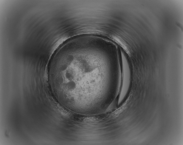 X0000091710883200708311114