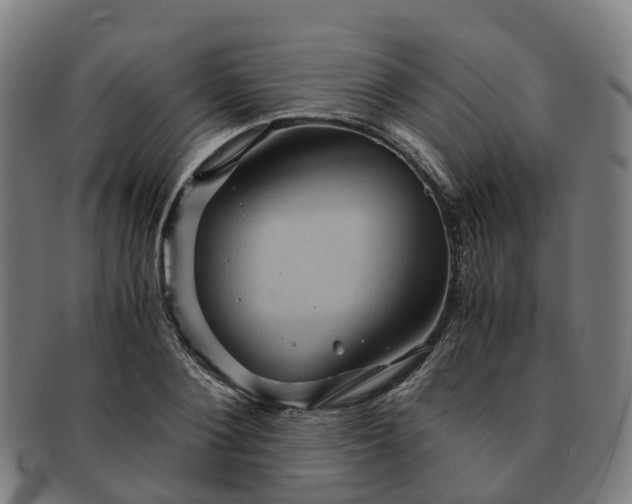 X0000091710884200708311114