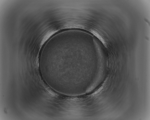 X0000091710885200708311114