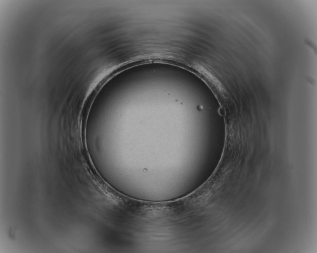 X0000091710886200708311114