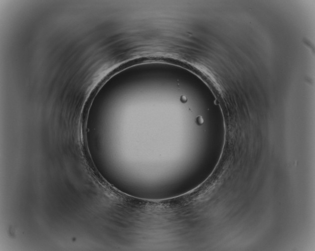 X0000091710887200708311114