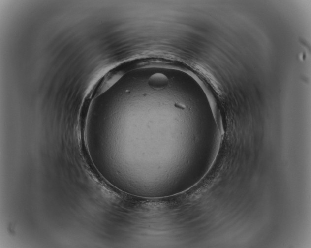 X0000091710888200708311113