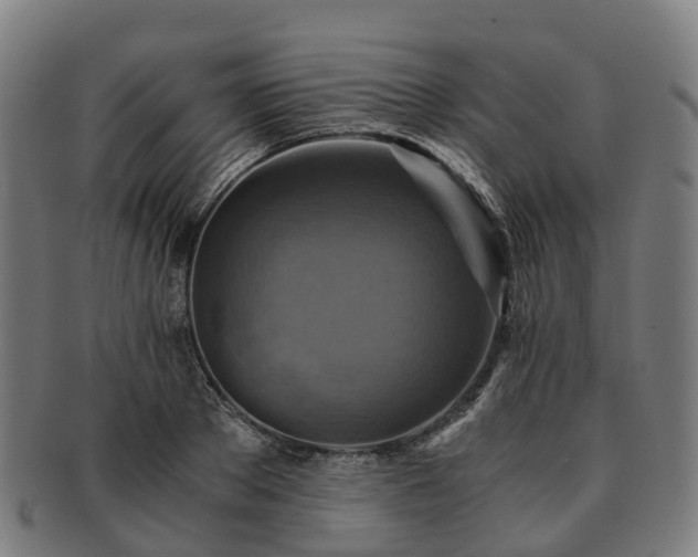 X0000091710889200708311113