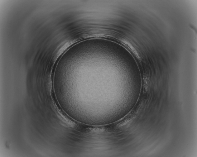 X0000091710890200708311113