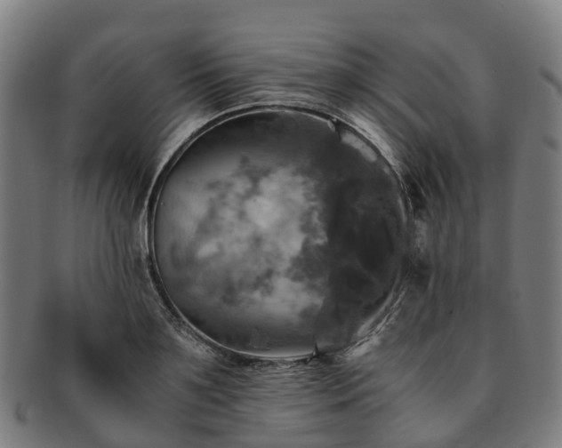 X0000091710891200708311113