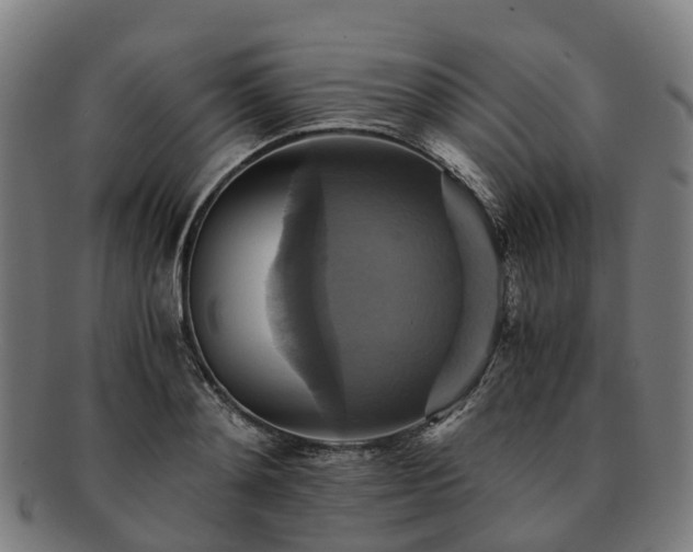 X0000091710892200708311113