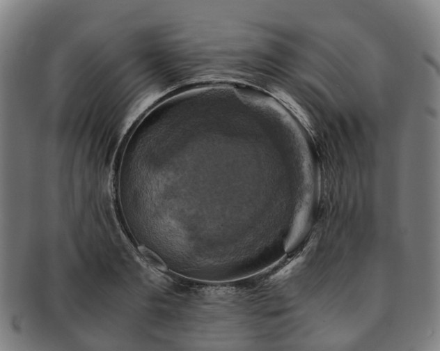 X0000091710893200708311113