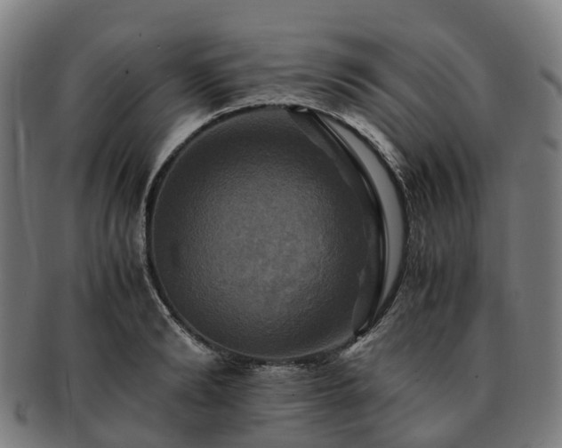 X0000091710894200708311113