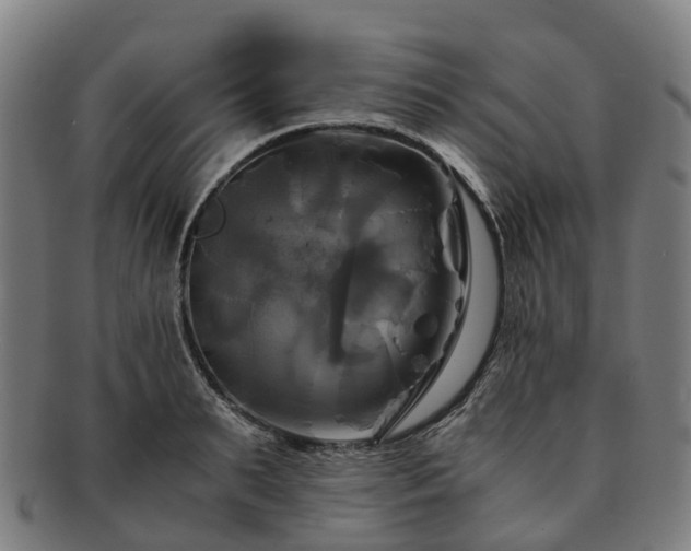 X0000091710895200708311113