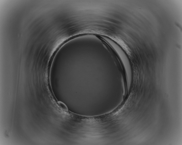 X0000091710896200708311113